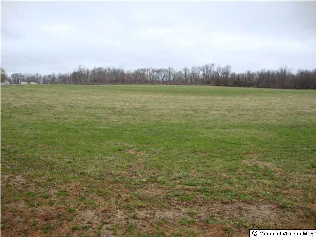 24 Forman Road Millstone Township, NJ 08535 - Photo 10 of 11 a view of an ocean from a yard