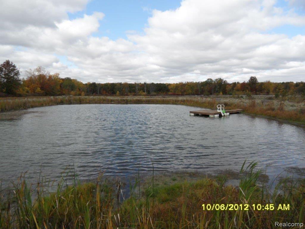 5320 Meldrum Road Casco, MI 48064 - Photo 13 of 13 pond close.JPG