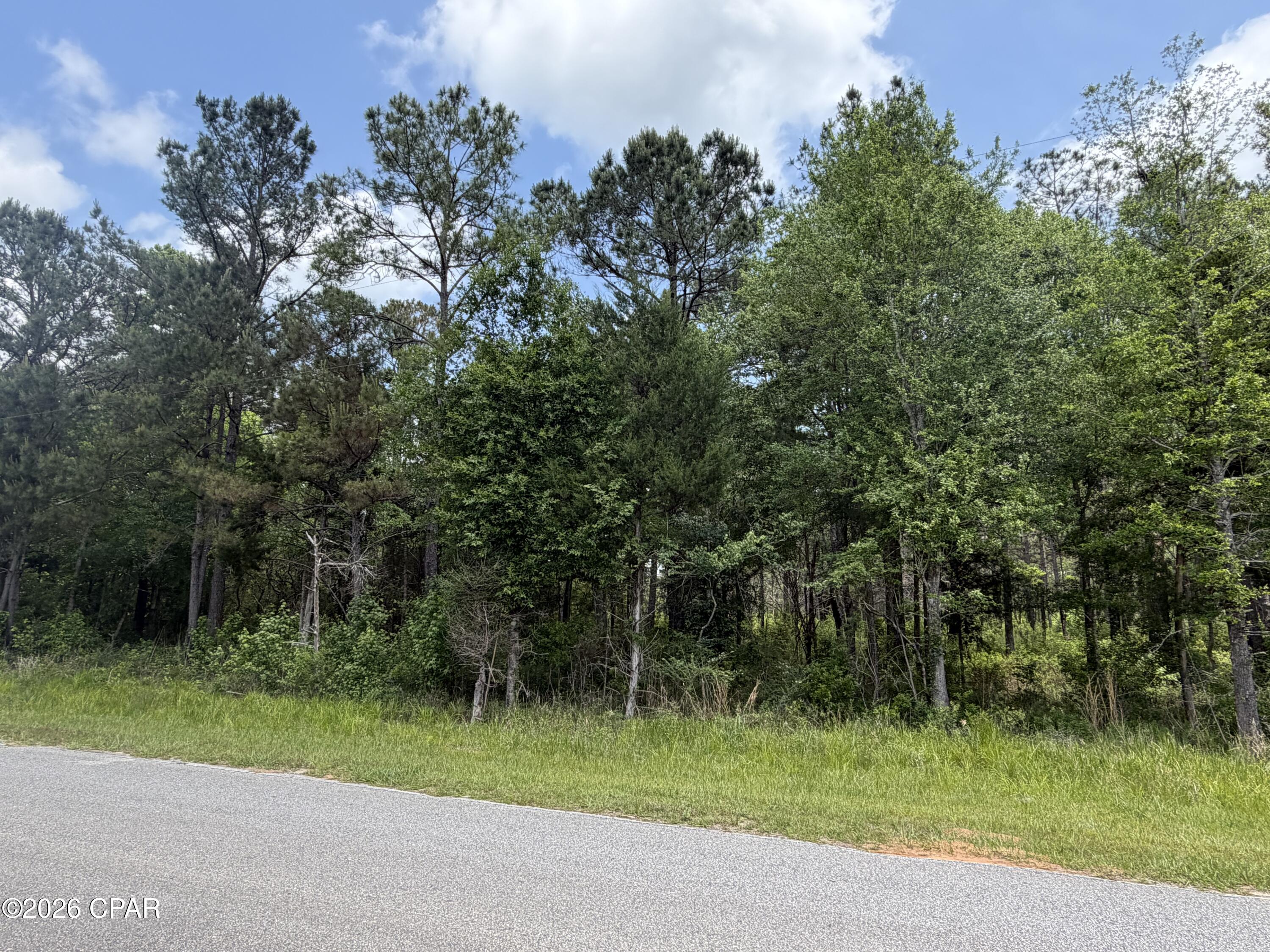 0 Parrish Still Road Vernon, FL 32462 - Photo 1 of 3