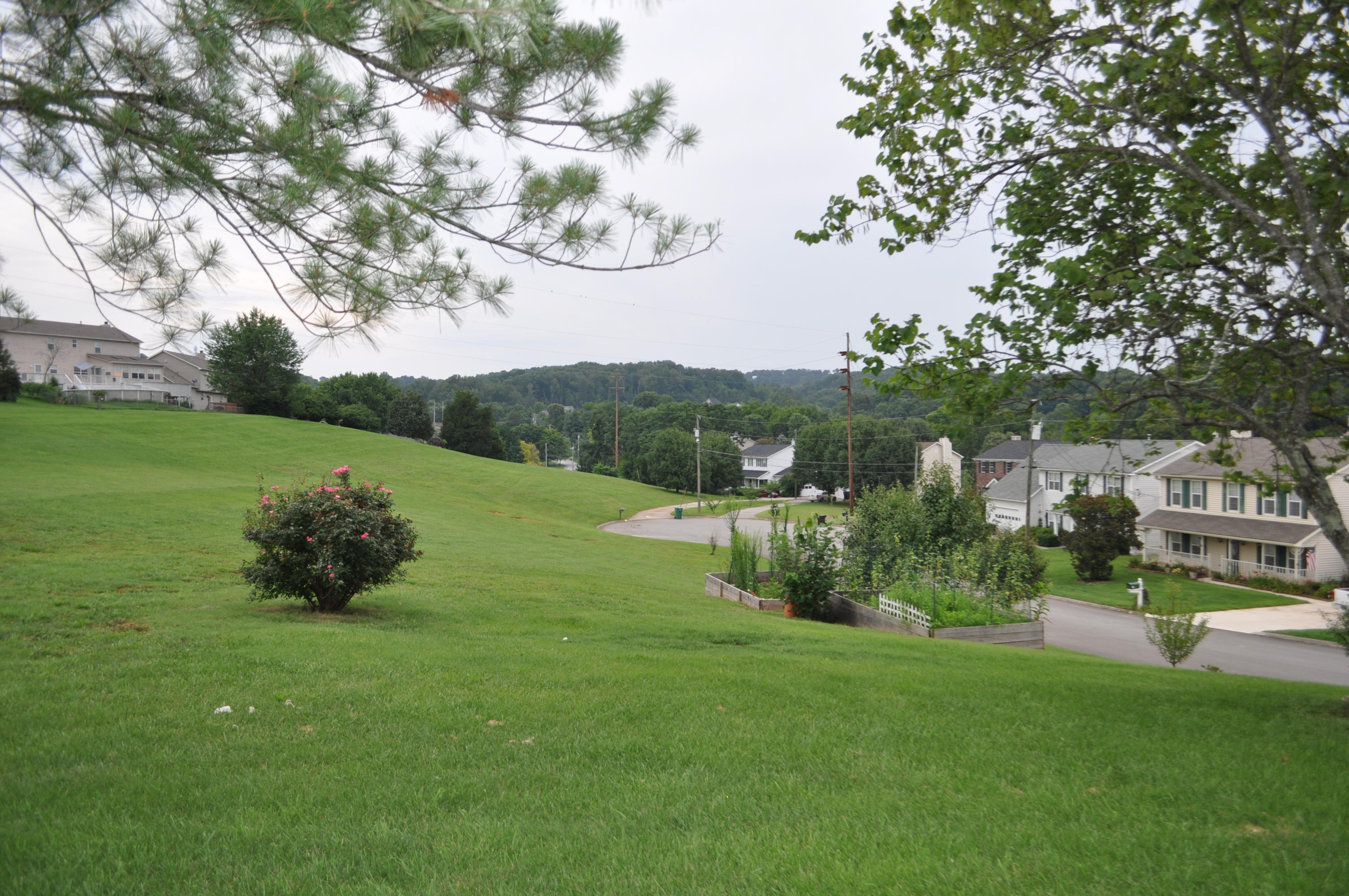 1012 Cross Meadow Road Knoxville, TN 37934 - Photo 24 of 25 Cross Meadow 024