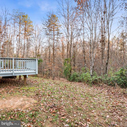3220 Russel Run Road Locust Grove, VA 22508 - Photo 22 of 22 Gallery Image 22