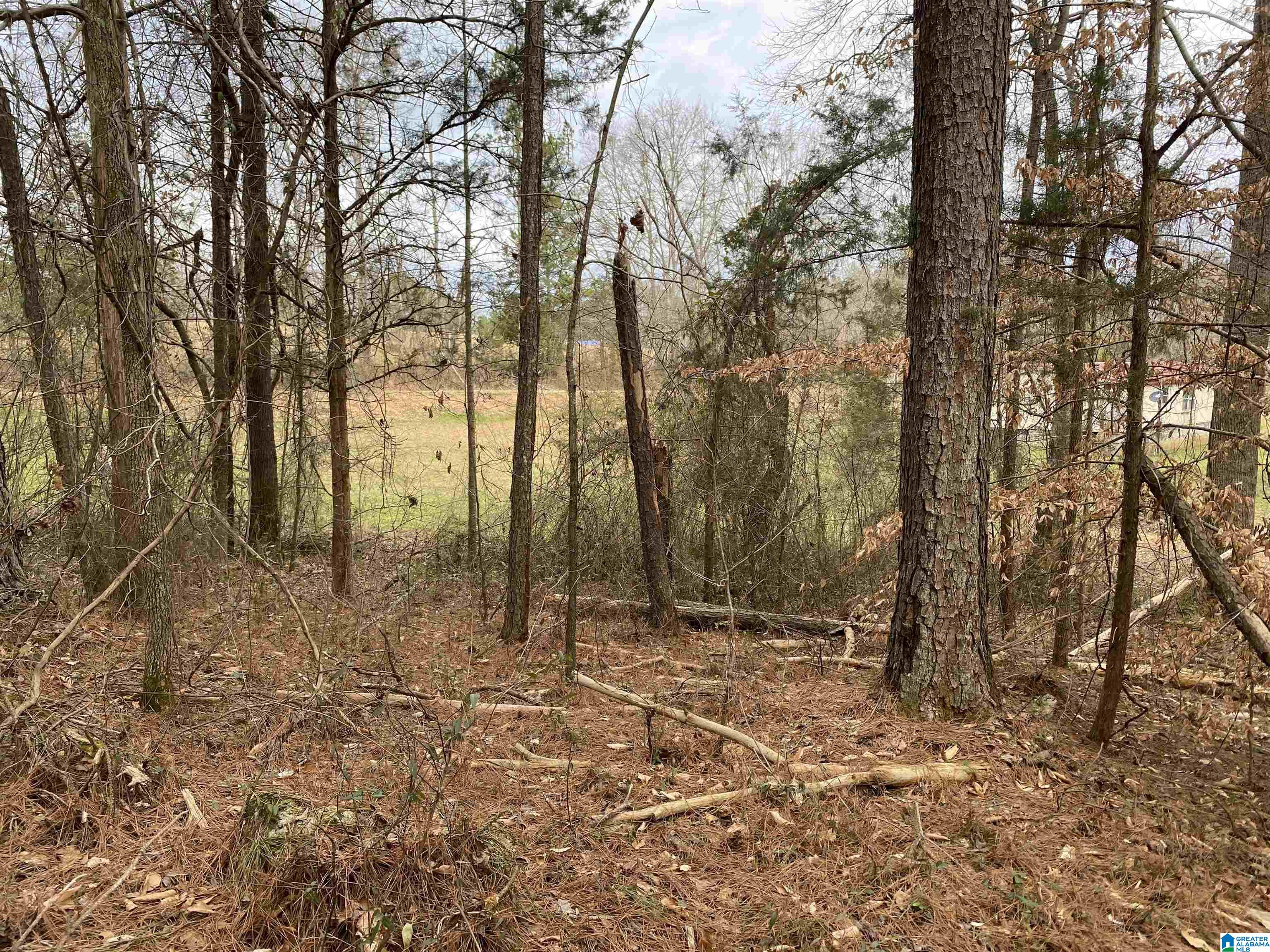 2775 Pinehole Road, Unit N Lineville, AL 36266 - Photo 2 of 5