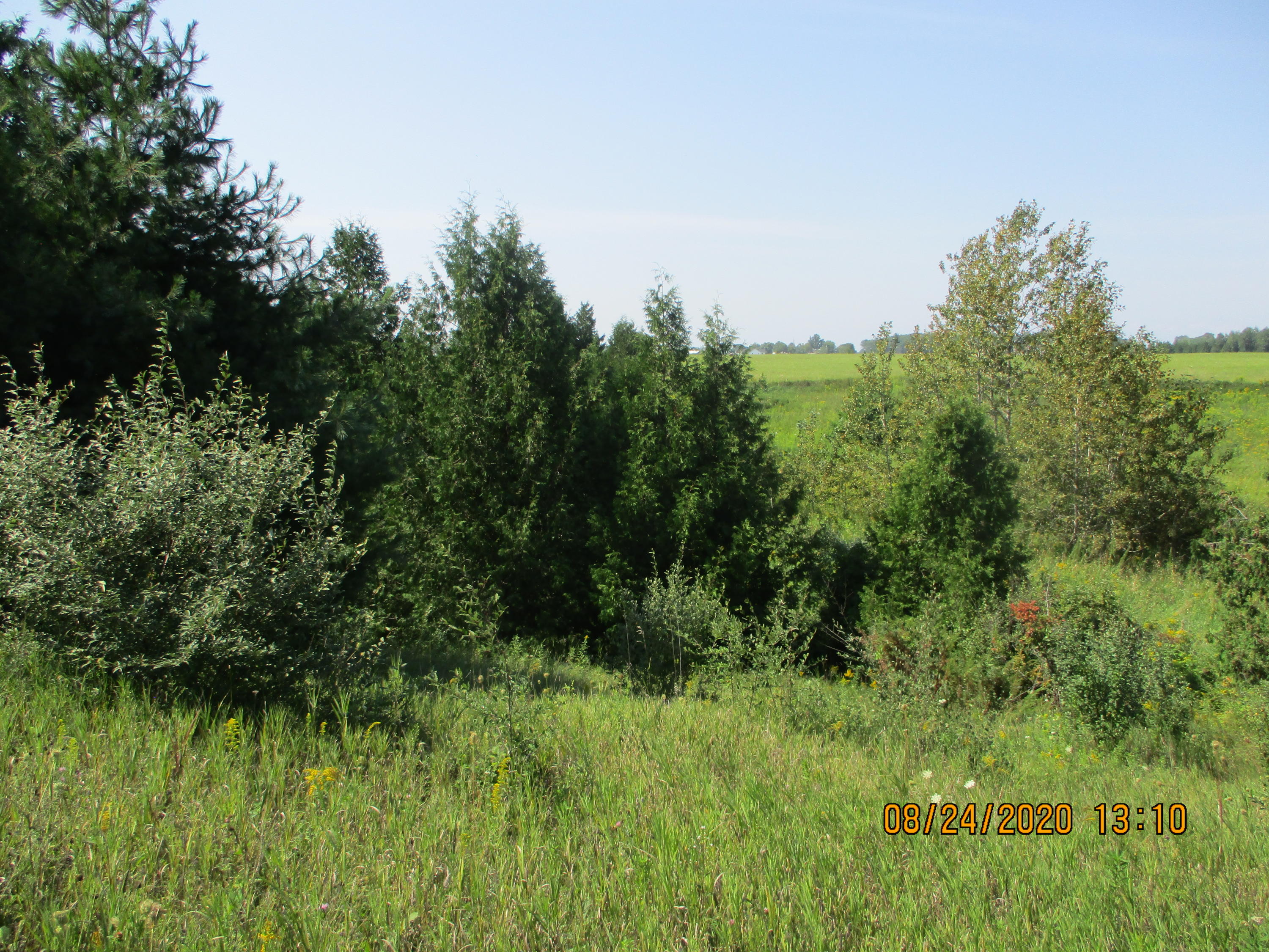 8171 Schultz Road Hubbard Lake, MI 49747 - Photo 20 of 24 Gallery Image 20