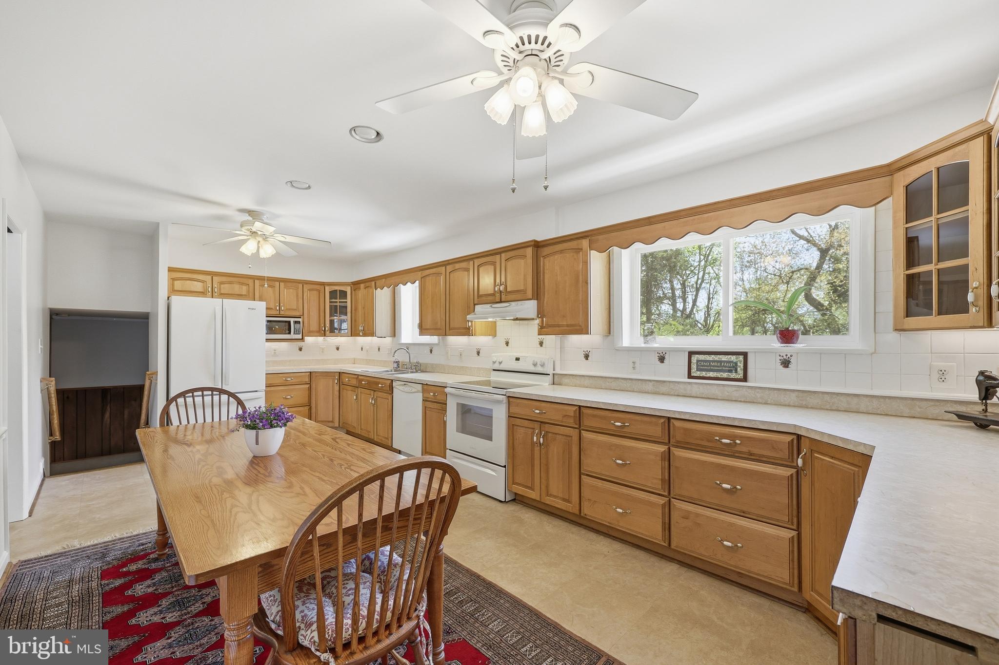1814 Marymont Road Silver Spring, MD 20906 - Photo 11 of 45 Look at all that counter space