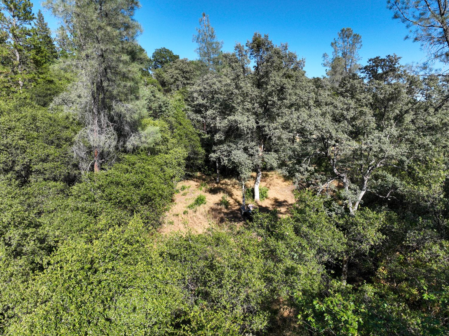 16970 Southridge Road Penn Valley, CA 95946 - Photo 22 of 45