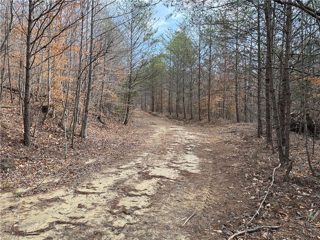 1200 Purcell Road Reidsville, NC 27320 - Photo 18 of 50