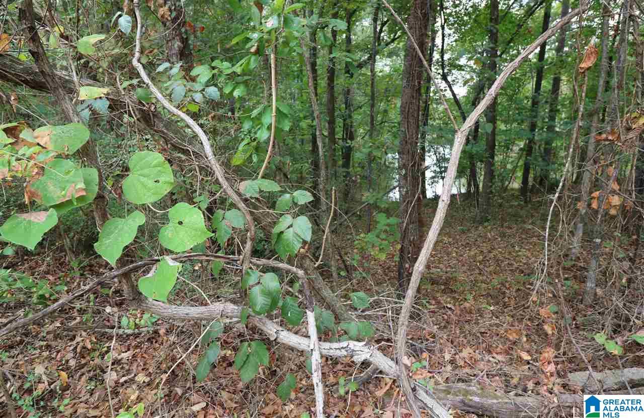 0 Nova Circle, Unit 32 Alpine, AL 35014 - Photo 4 of 6