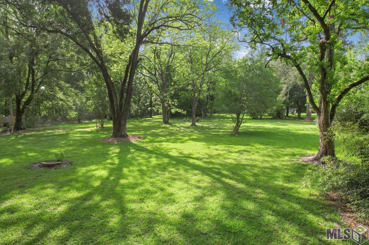 Lot 35 South Fulwar Skipwith Road Baton Rouge, LA 70810 - Photo 4 of 6