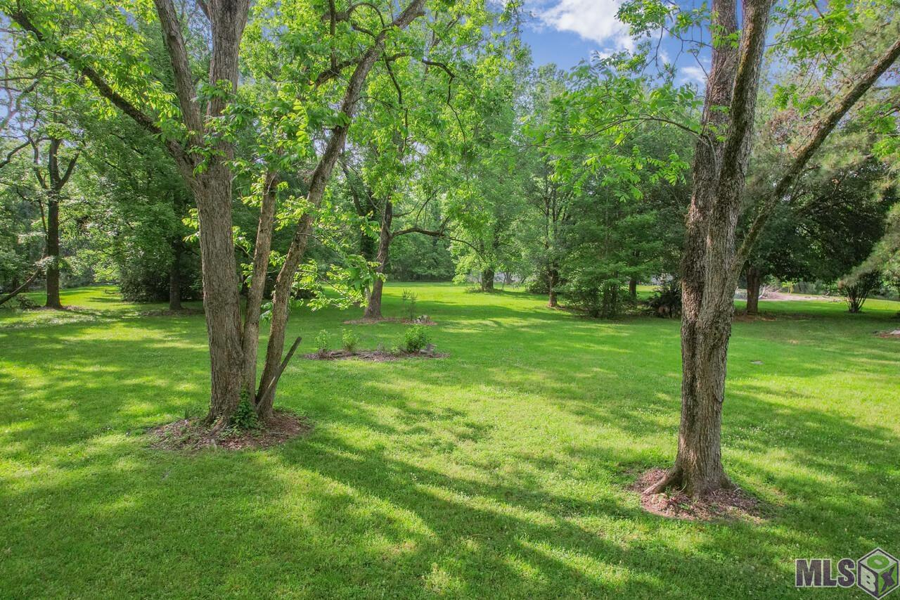 Lot 35 South Fulwar Skipwith Road Baton Rouge, LA 70810 - Photo 6 of 6