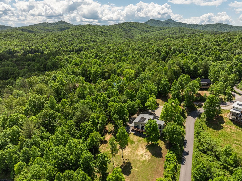 143 Brannon Ridge Young Harris, GA 30582 - Photo 31 of 36