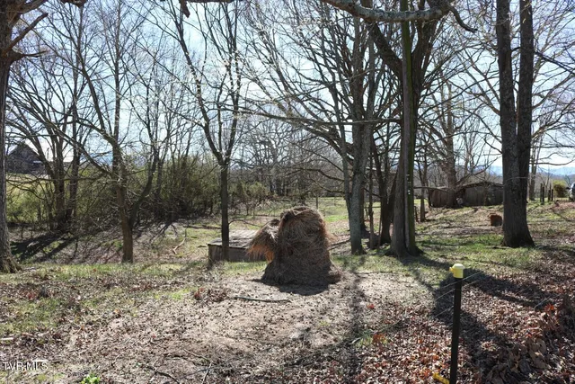 $450,000 | 875 Pates Hill Road, Mosheim, TN 37818