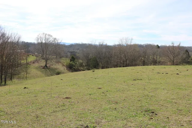 $450,000 | 875 Pates Hill Road, Mosheim, TN 37818