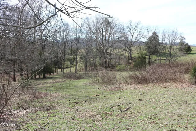 $450,000 | 875 Pates Hill Road, Mosheim, TN 37818