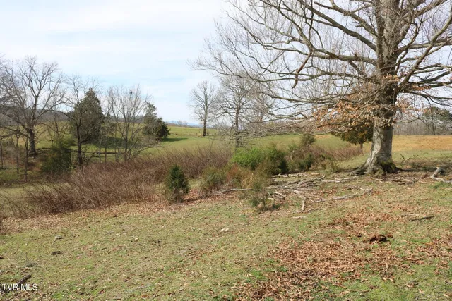 $450,000 | 875 Pates Hill Road, Mosheim, TN 37818