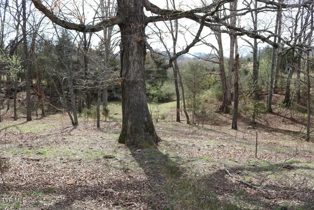 $450,000 | 875 Pates Hill Road, Mosheim, TN 37818