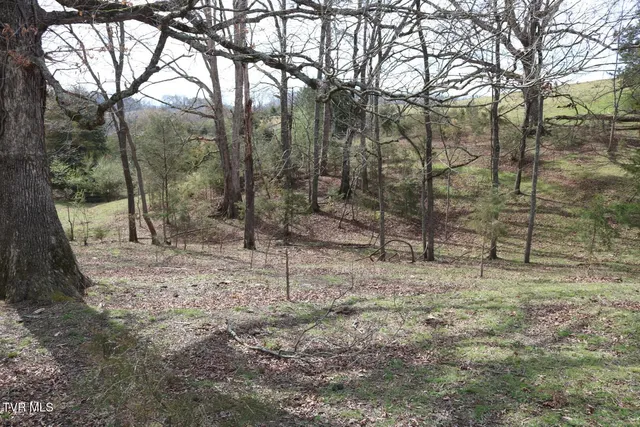 $450,000 | 875 Pates Hill Road, Mosheim, TN 37818