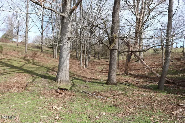 $450,000 | 875 Pates Hill Road, Mosheim, TN 37818