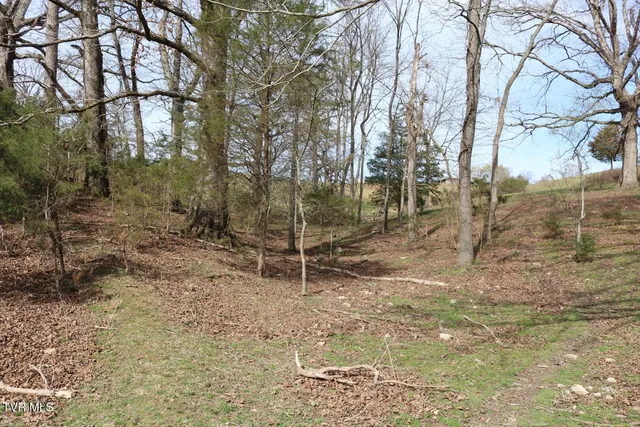 $450,000 | 875 Pates Hill Road, Mosheim, TN 37818