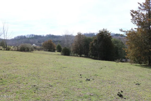 $450,000 | 875 Pates Hill Road, Mosheim, TN 37818