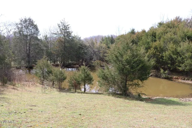 $450,000 | 875 Pates Hill Road, Mosheim, TN 37818