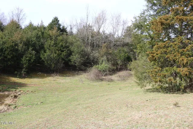 $450,000 | 875 Pates Hill Road, Mosheim, TN 37818