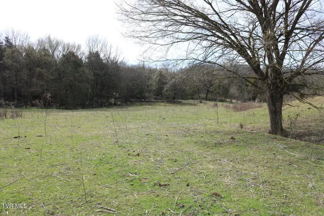 $450,000 | 875 Pates Hill Road, Mosheim, TN 37818