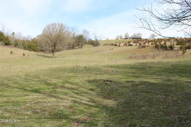 $450,000 | 875 Pates Hill Road, Mosheim, TN 37818