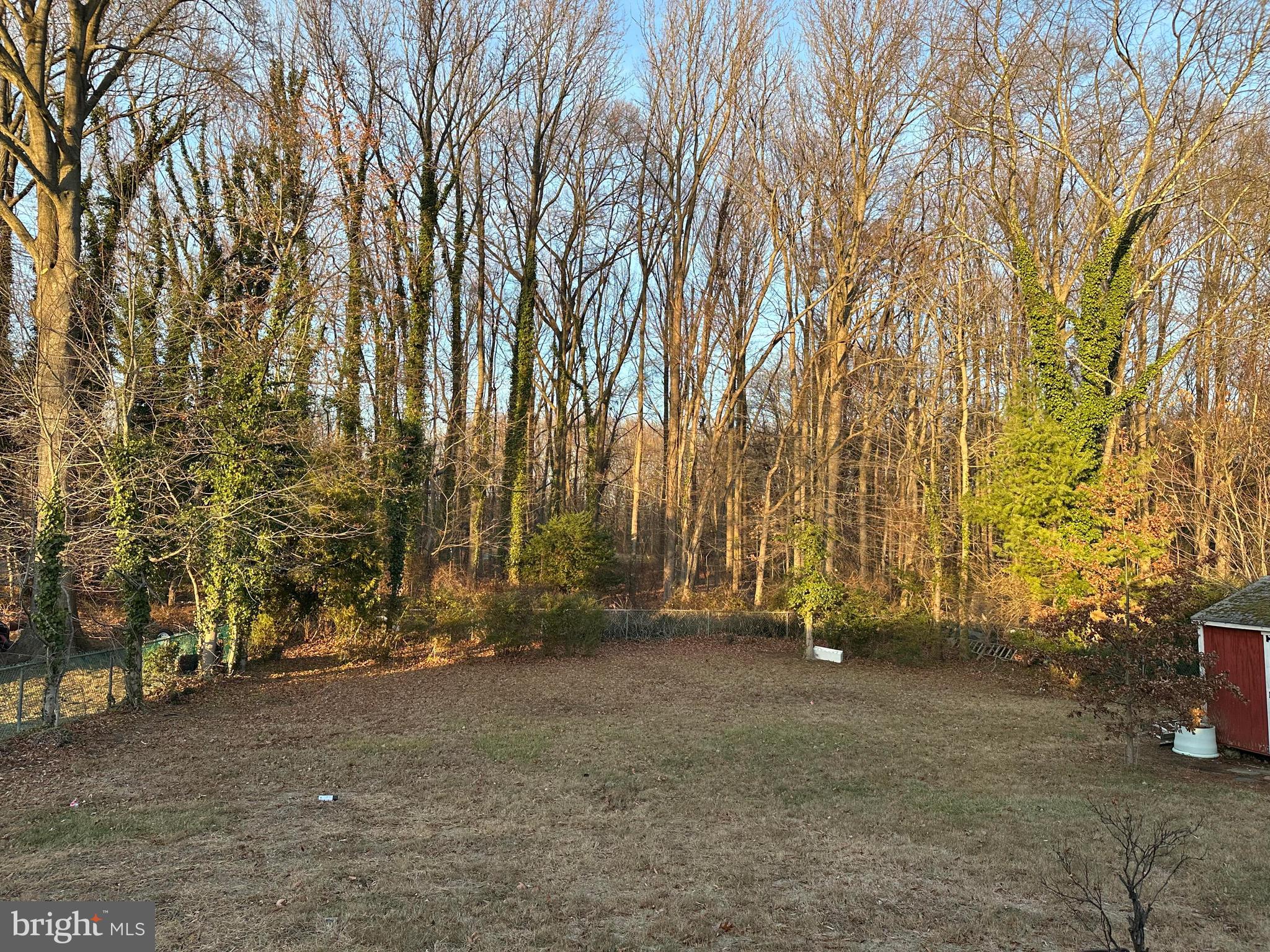 409 Cornwall Road Cherry Hill, NJ 08034 - Photo 21 of 26 a view of backyard with large trees