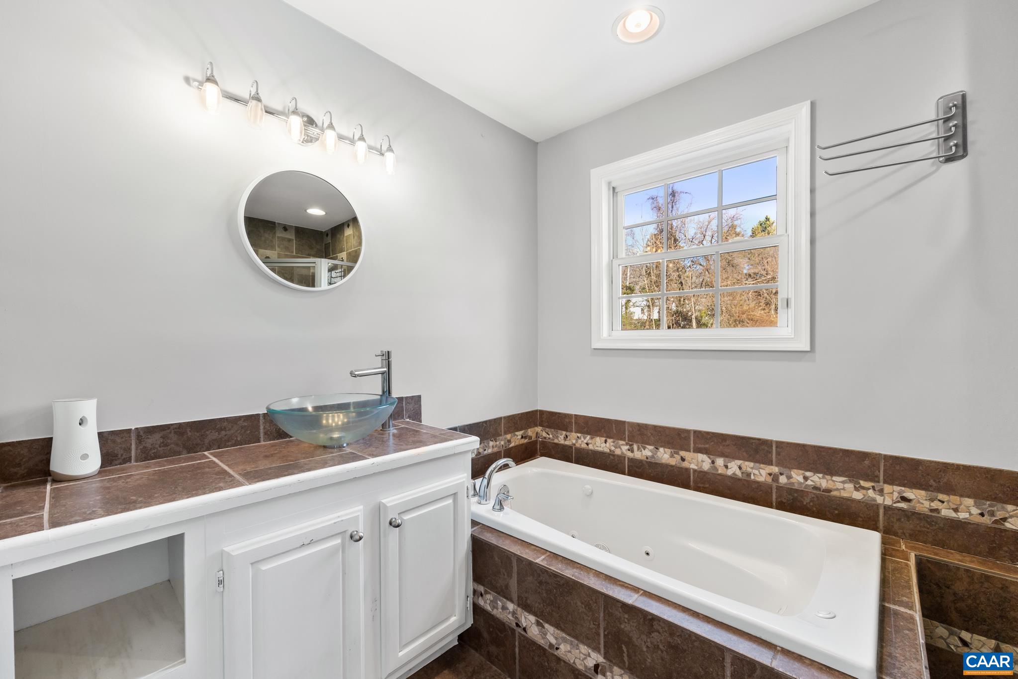 703 Tilman Road Charlottesville, VA 22901 - Photo 23 of 37 a bathroom with a sink and a mirror