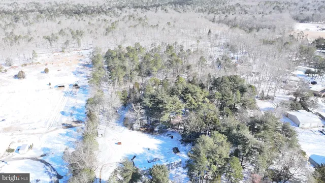 a view of a house with a tree