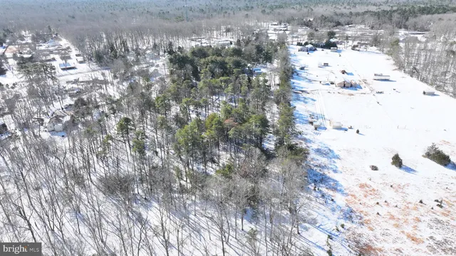 a view of a tree in middle of the green field