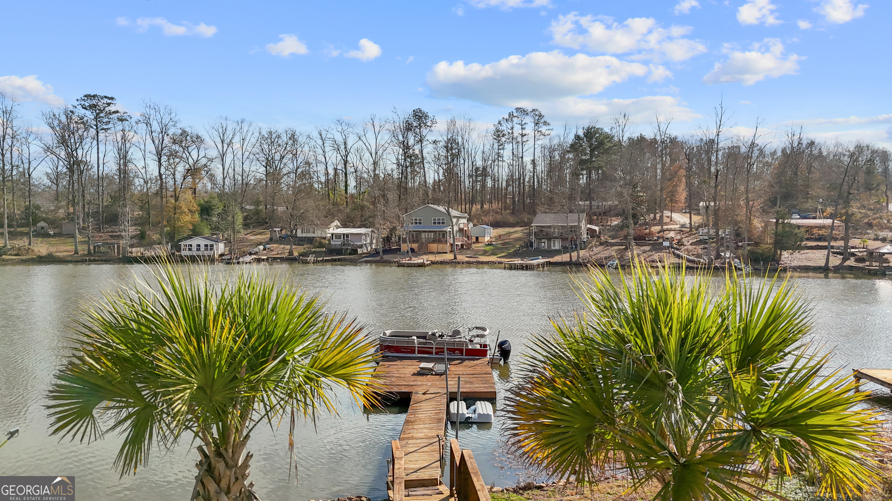 180 Southern Shores Road Jackson, GA 30233 - Photo 28 of 40 a view of a lake with palm trees