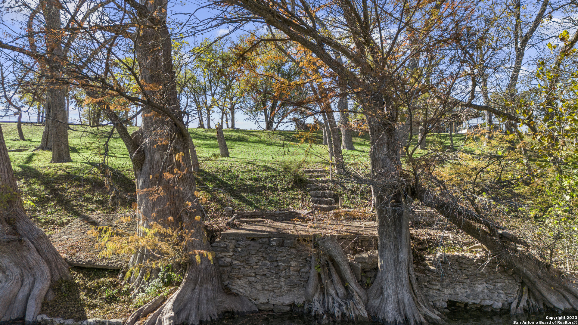 1236 Whispering Water Spring Branch, TX 78070 - Photo 3 of 22 a view of a garden with a tree