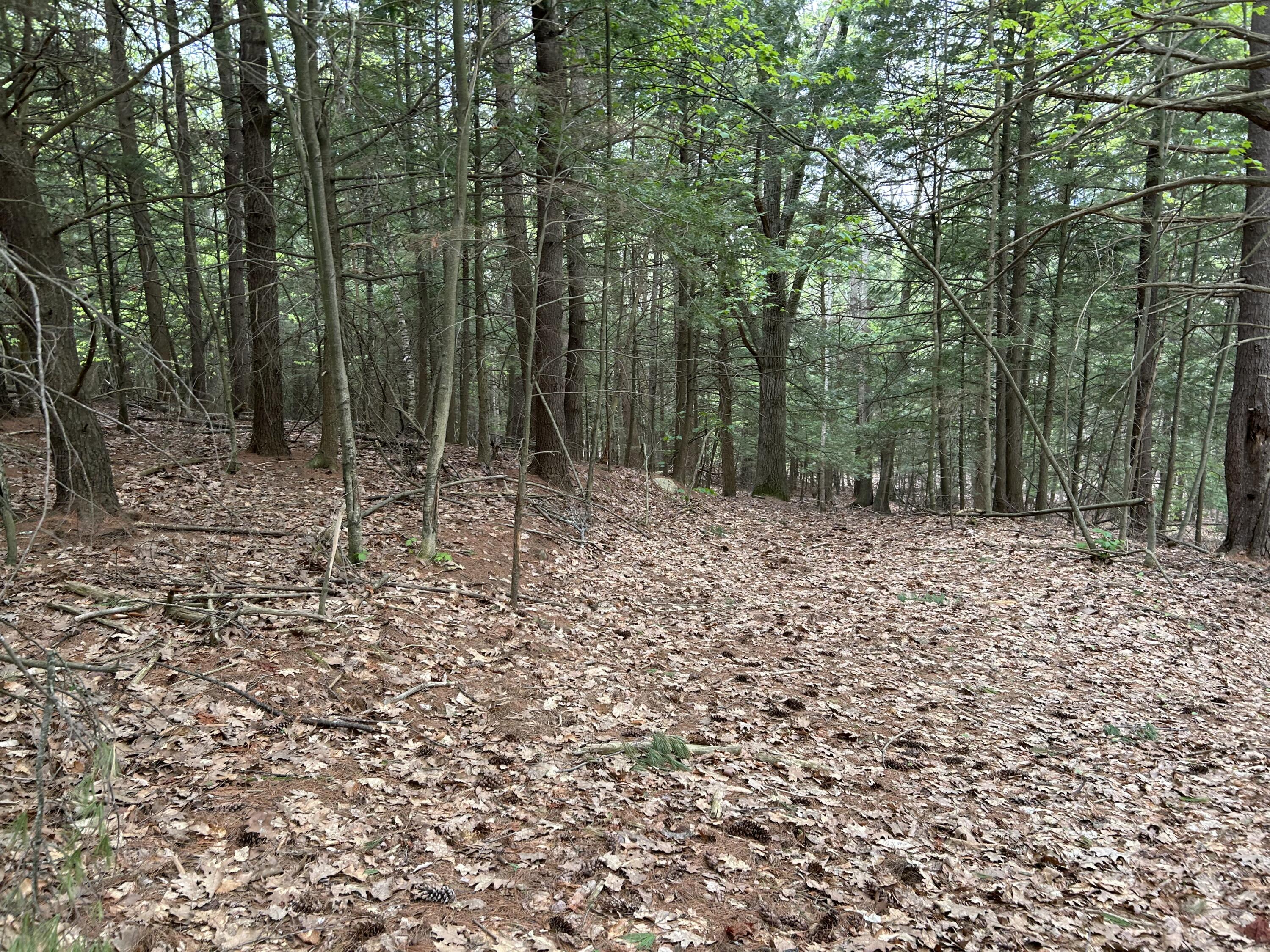 281 Randall Road Lewiston, ME 04240 - Photo 20 of 31