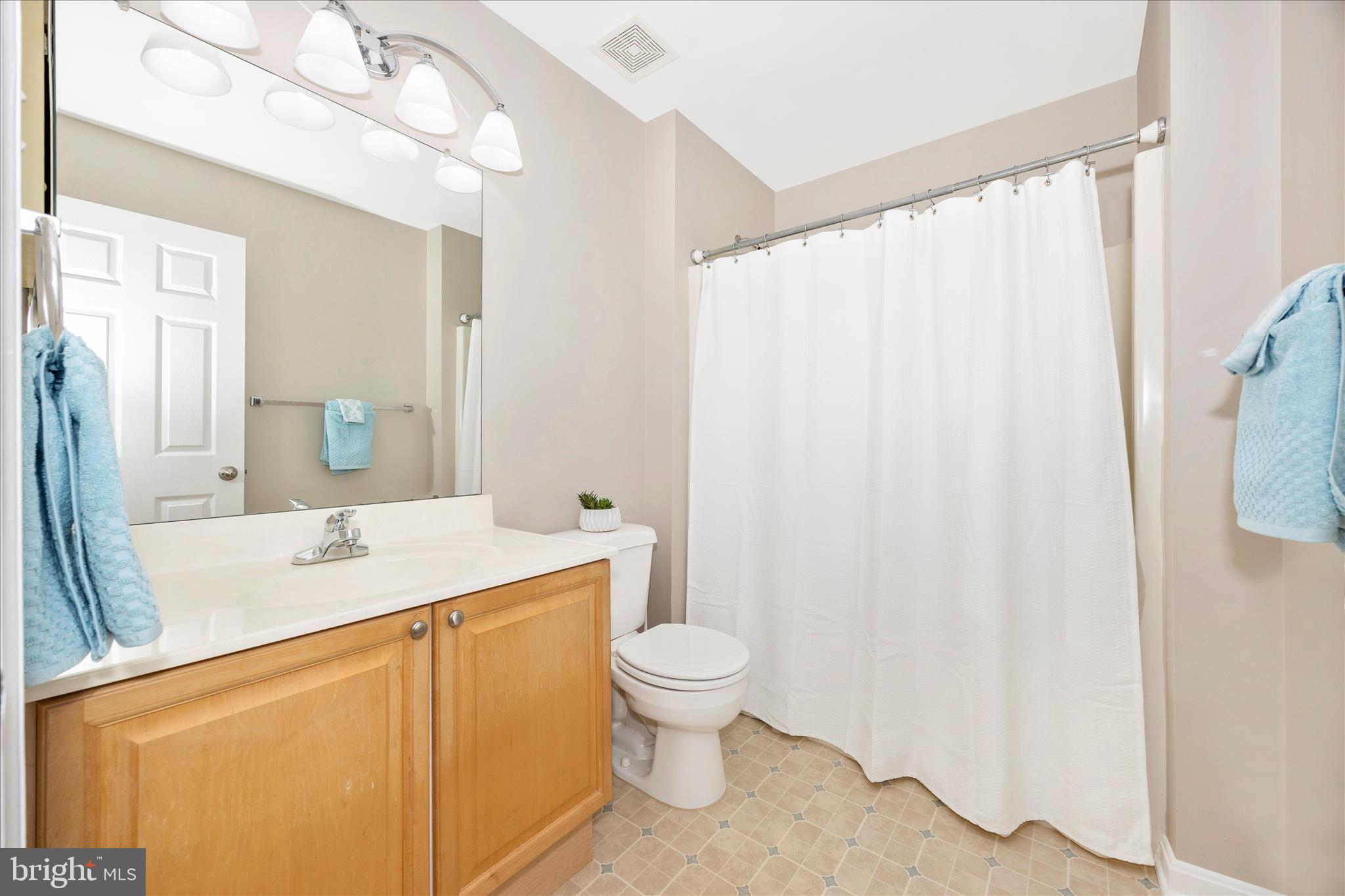 3810 Roundtree Road Jefferson, MD 21755 - Photo 39 of 55 Hall Bath