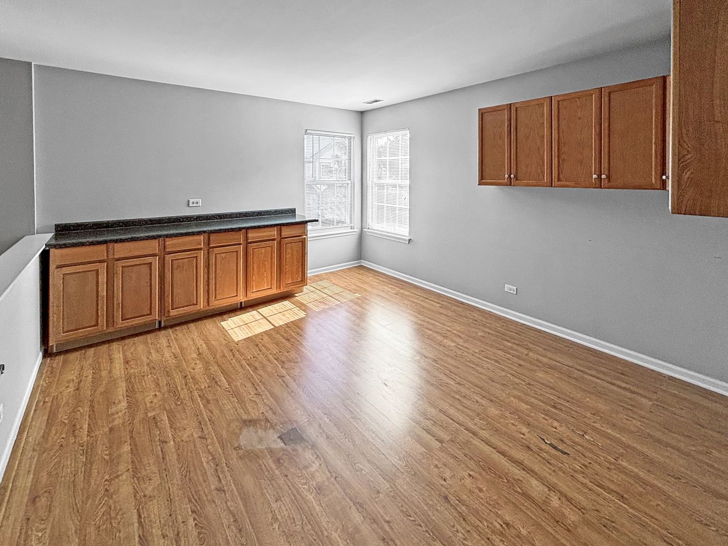 817 Blue Spruce Court Lindenhurst, IL 60046 - Photo 13 of 15