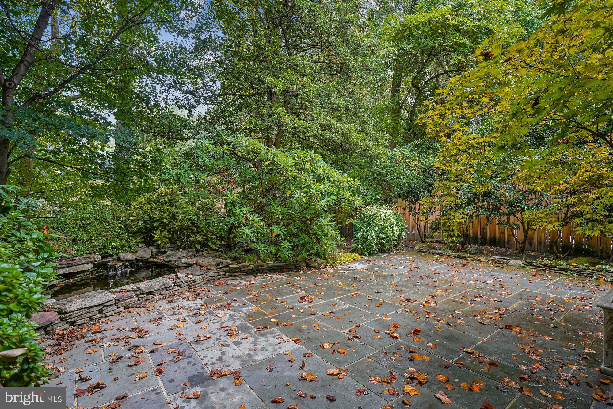 702 Belgrove Road McLean, VA 22101 - Photo 41 of 52 a view of a trees with a tree