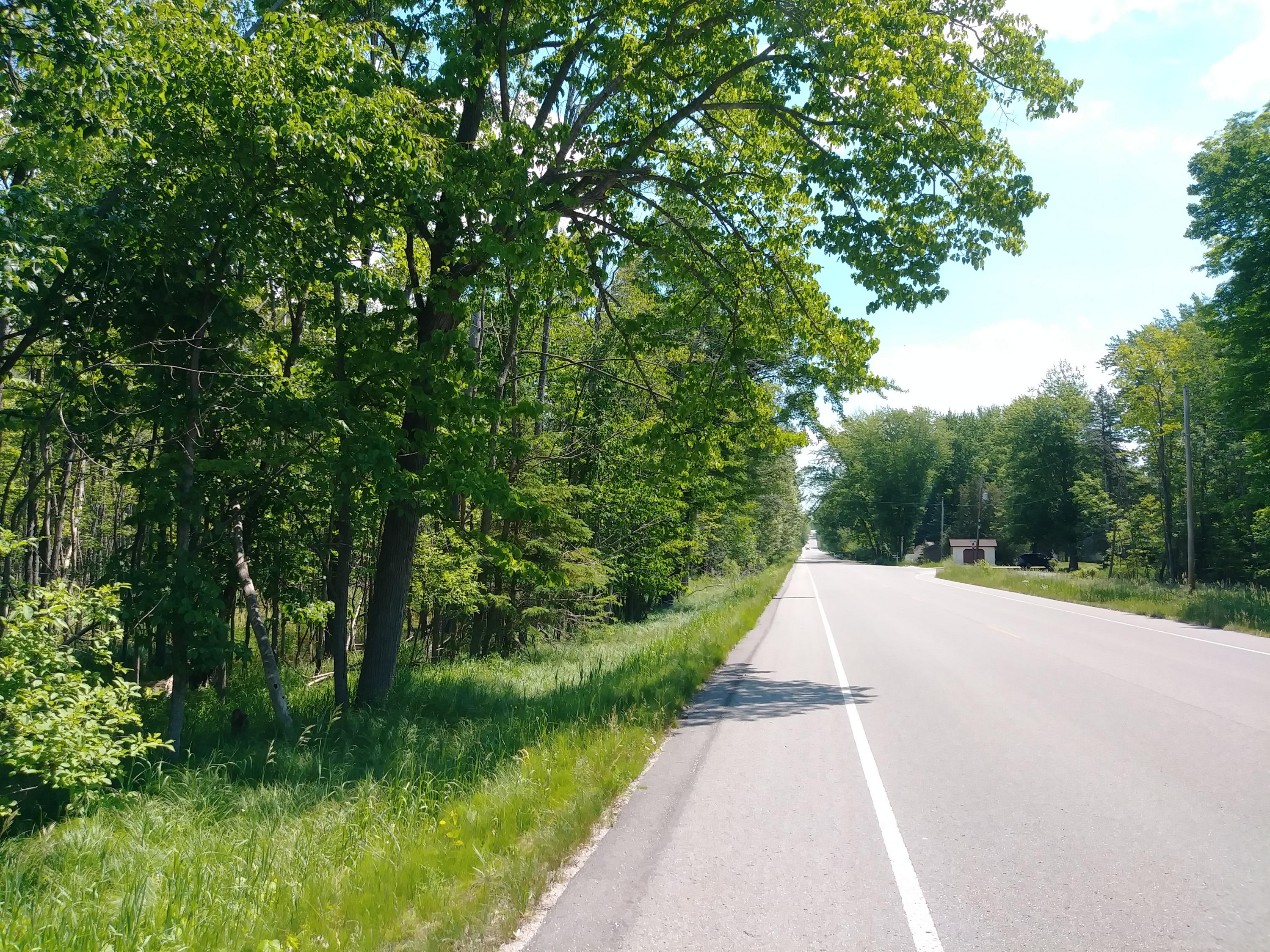 Mullett Burt Road Cheboygan, MI 49721 - Photo 22 of 27 Gallery Image 22