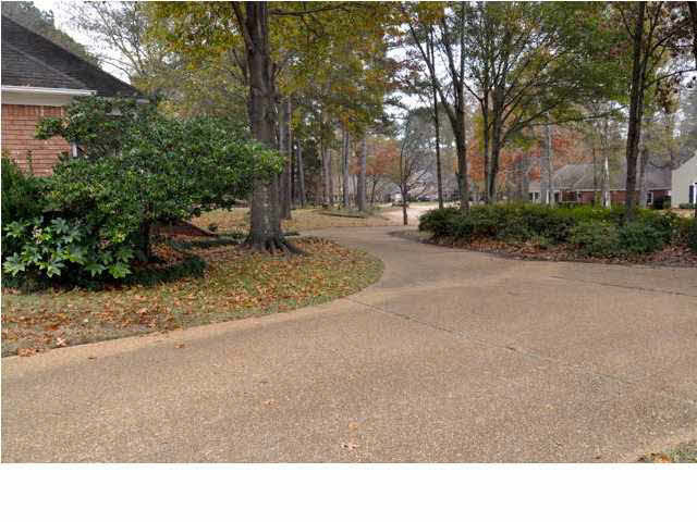 127 Spring Oak Drive Madison, MS 39110 - Photo 8 of 39 Photo 8