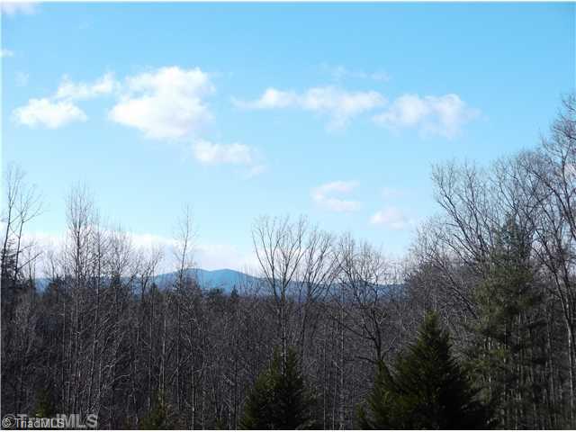 190 Tucker Road Mount Airy, NC 27030 - Photo 2 of 9 View.