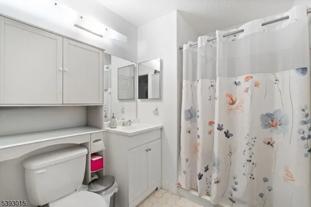 a bathroom with a sink a toilet and shower curtain