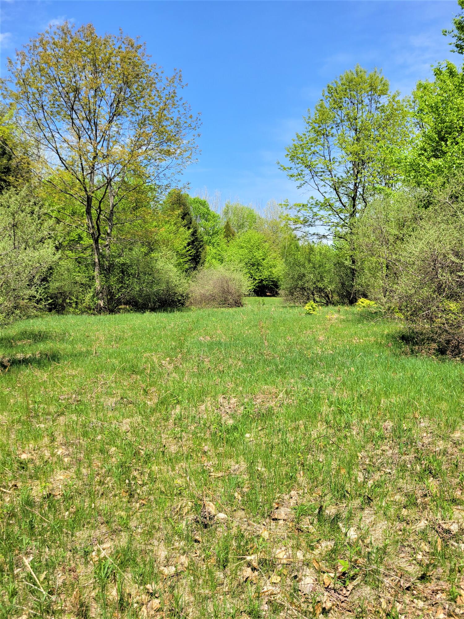 Smith Road Onekama, MI 49675 - Photo 1 of 27 Spring Middle