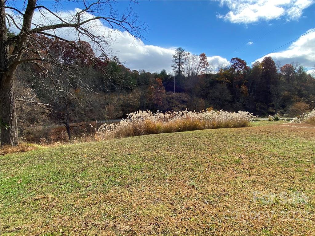 1629 Grapevine Road Marshall, NC 28753 - Photo 6 of 16 Gallery Image 6