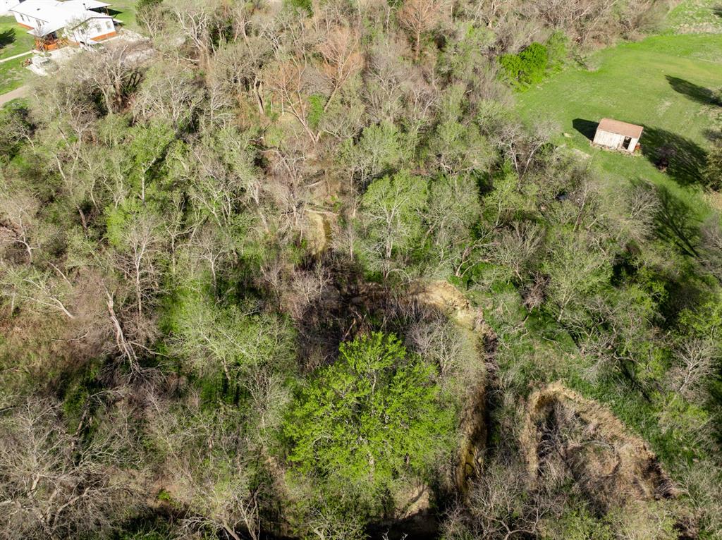3692 Fm 66 Grandview, TX 76050 - Photo 35 of 39 a view of a forest with a tree
