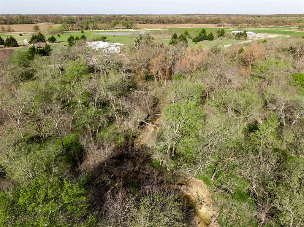 3692 Fm 66 Grandview, TX 76050 - Photo 36 of 39 a view of a forest with an outdoor space and trees