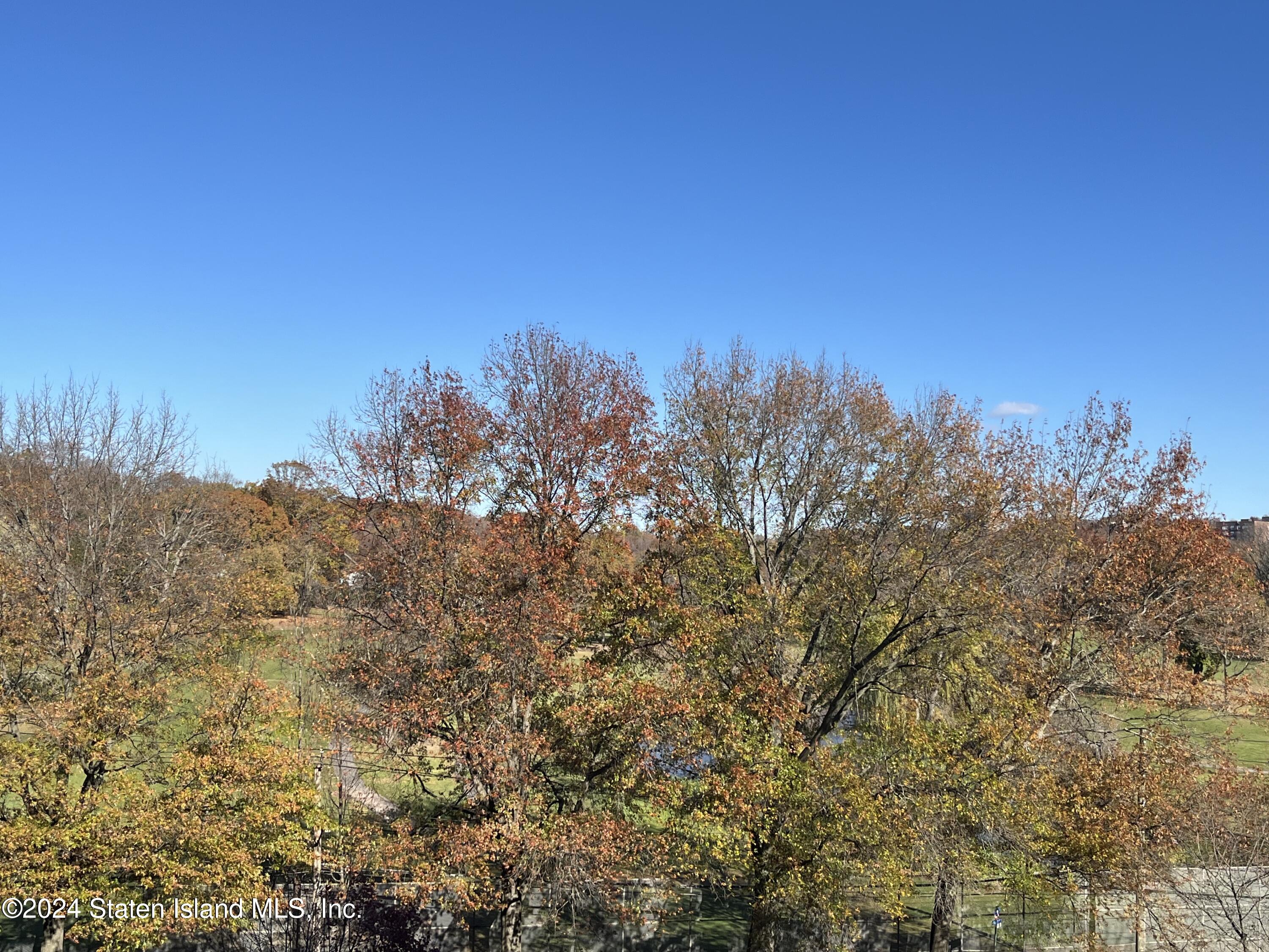 1100 Clove Road, Unit 7O Staten Island, NY 10301 - Photo 30 of 36 Clove Lake Park