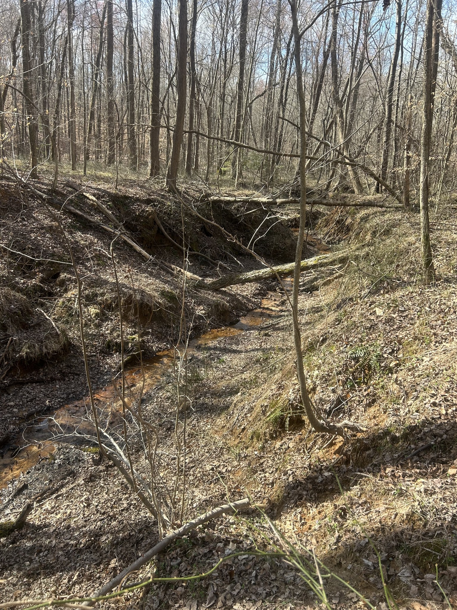 0 Mt Carmel Road Camden, TN 38320 - Photo 4 of 6