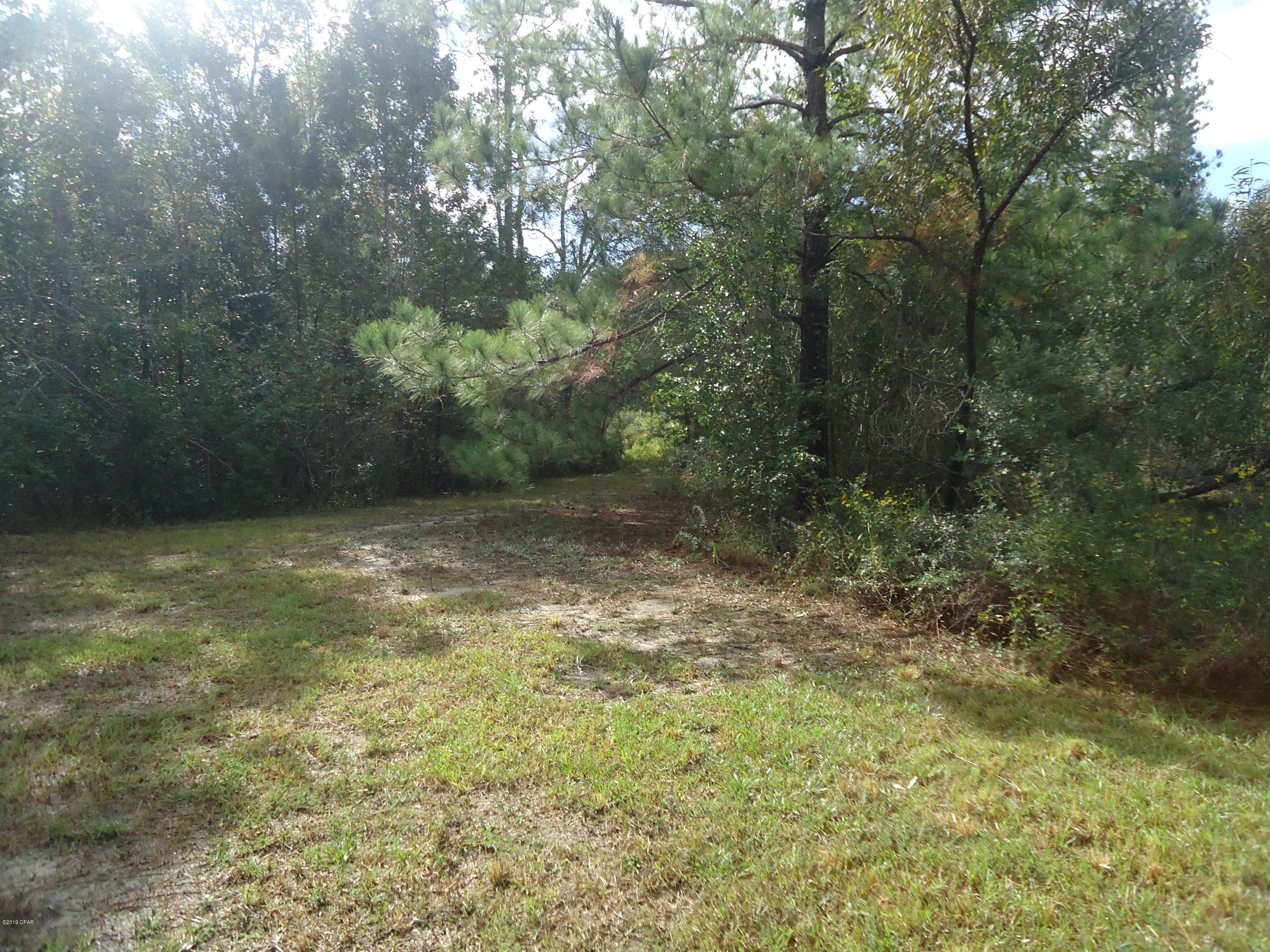 No Address No Address Gavin Road Bonifay, FL 32425 - Photo 5 of 6 Gallery Image 5