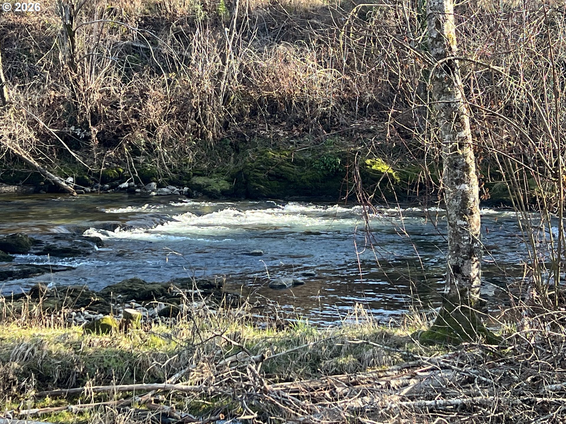 91241 Blue River Road Blue River, OR 97413 - Photo 5 of 12 River Access