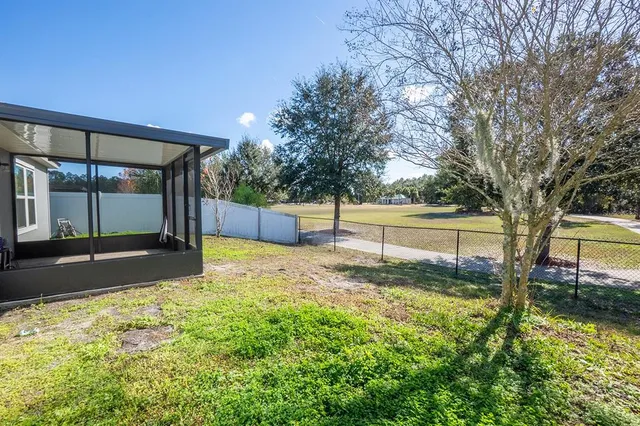 a view of backyard with tree